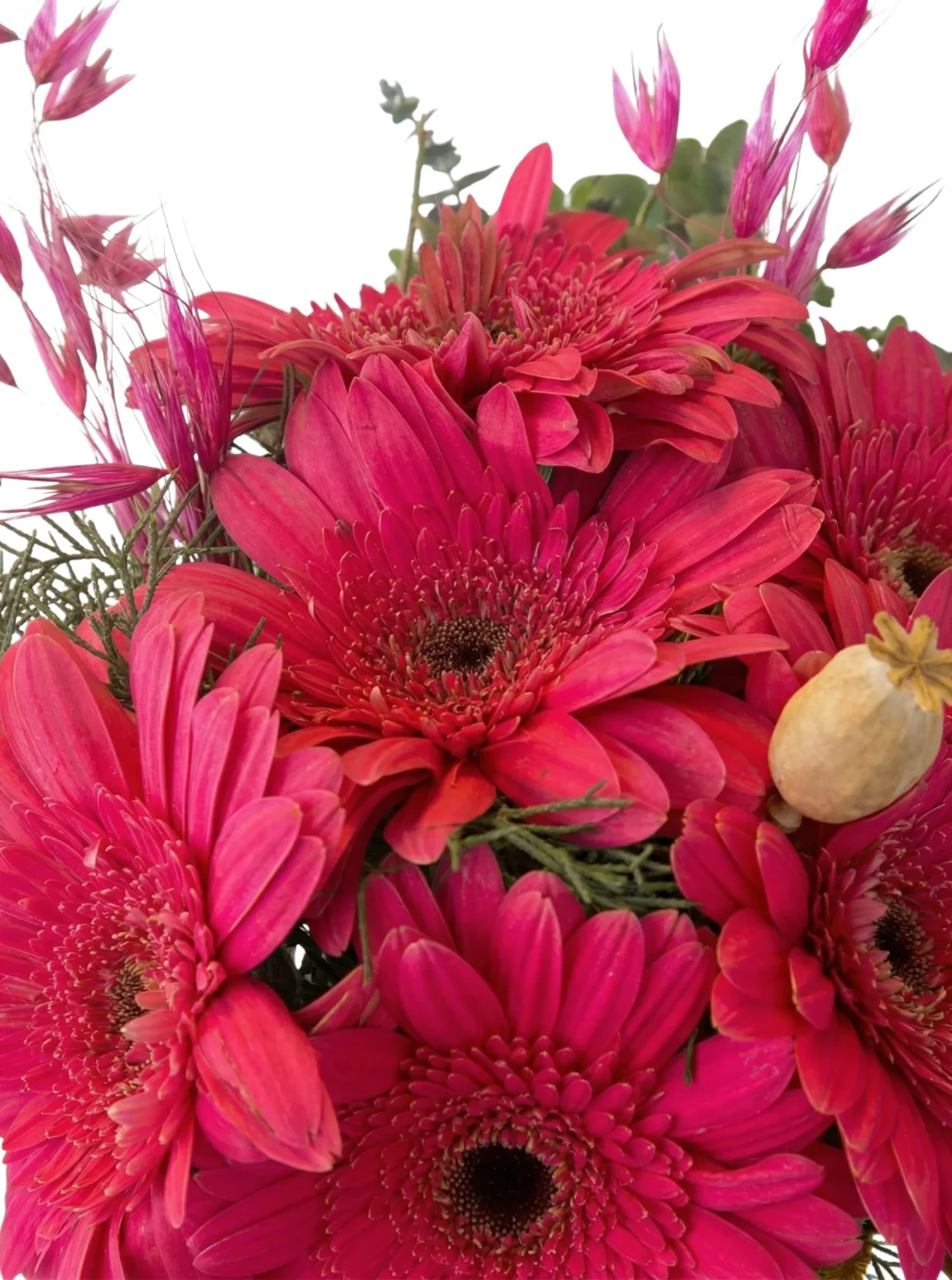 Işıltılı Pembe Gerbera Tasarımı