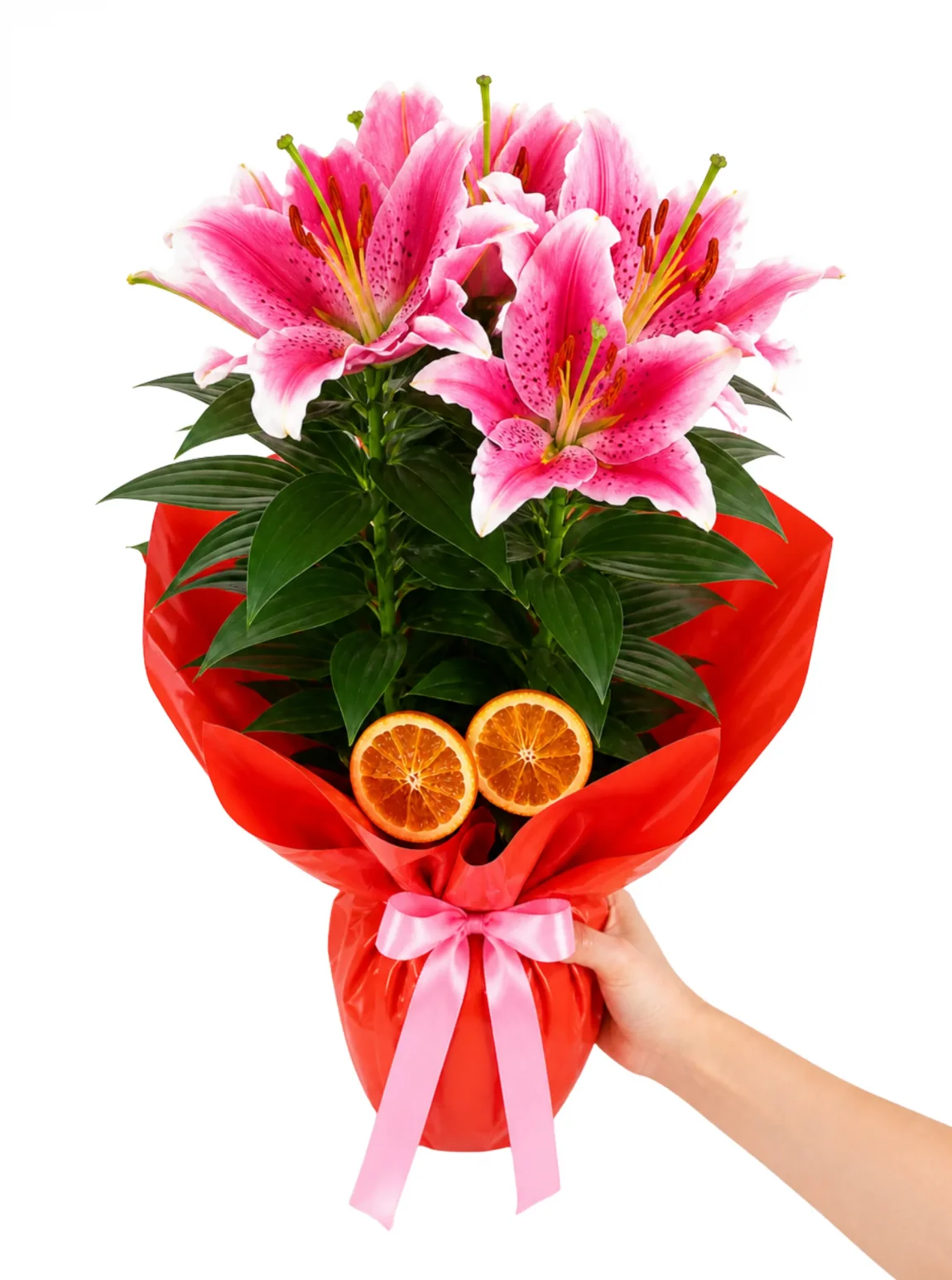 Mercan Işıltılı Pembe Lilyum