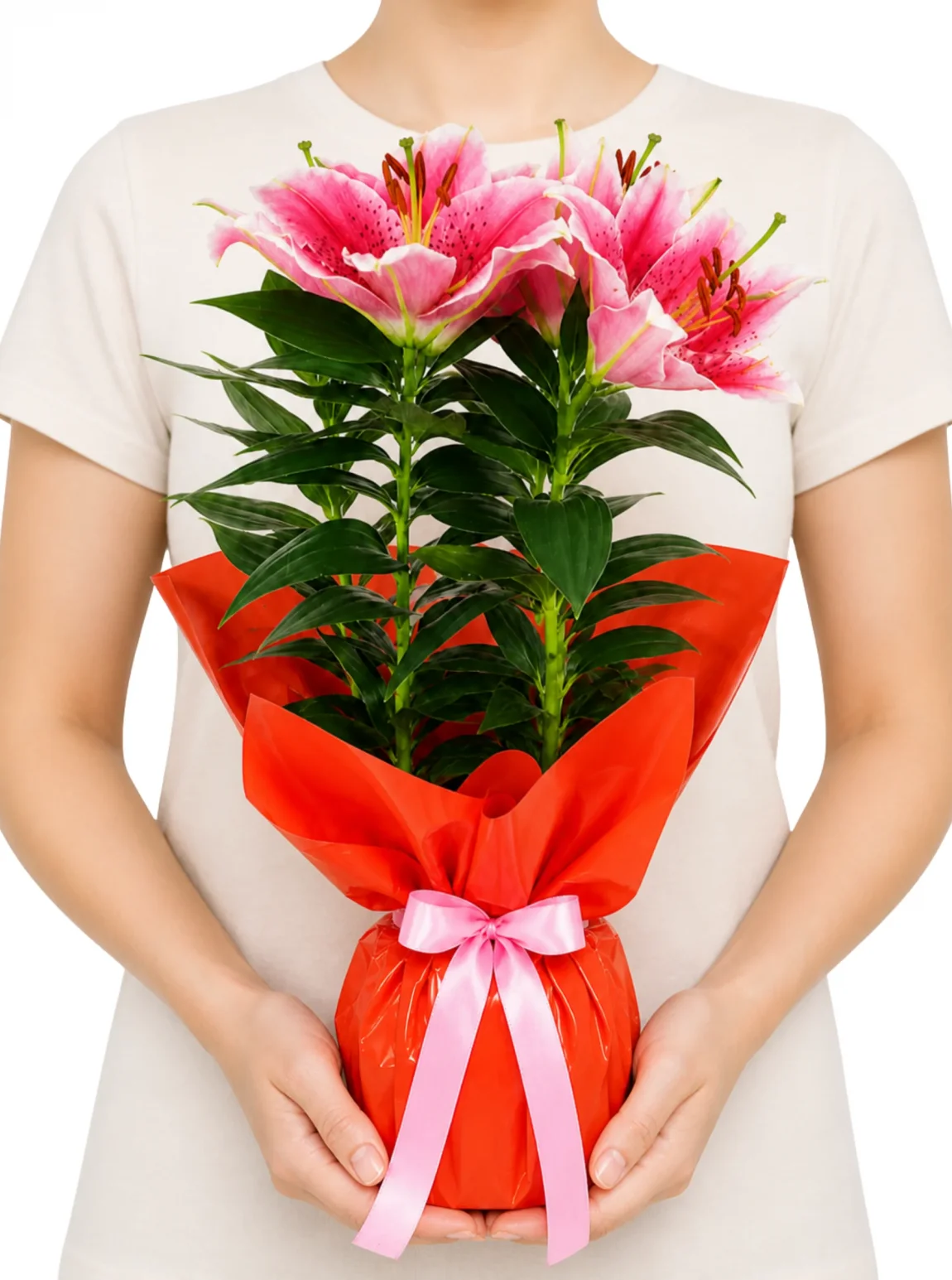 Mercan Işıltılı Pembe Lilyum