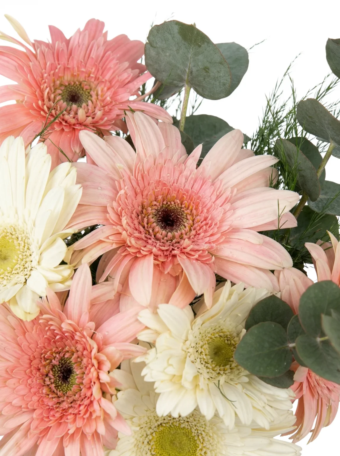 Pastel Gerbera Vazosu