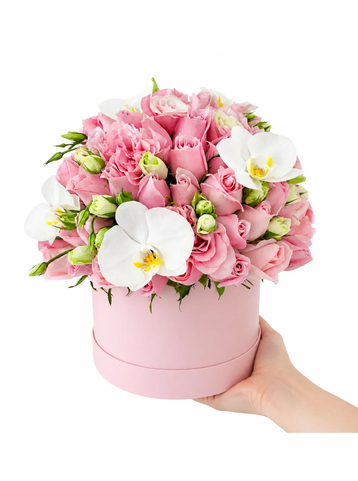 Pembe Gül Orkide