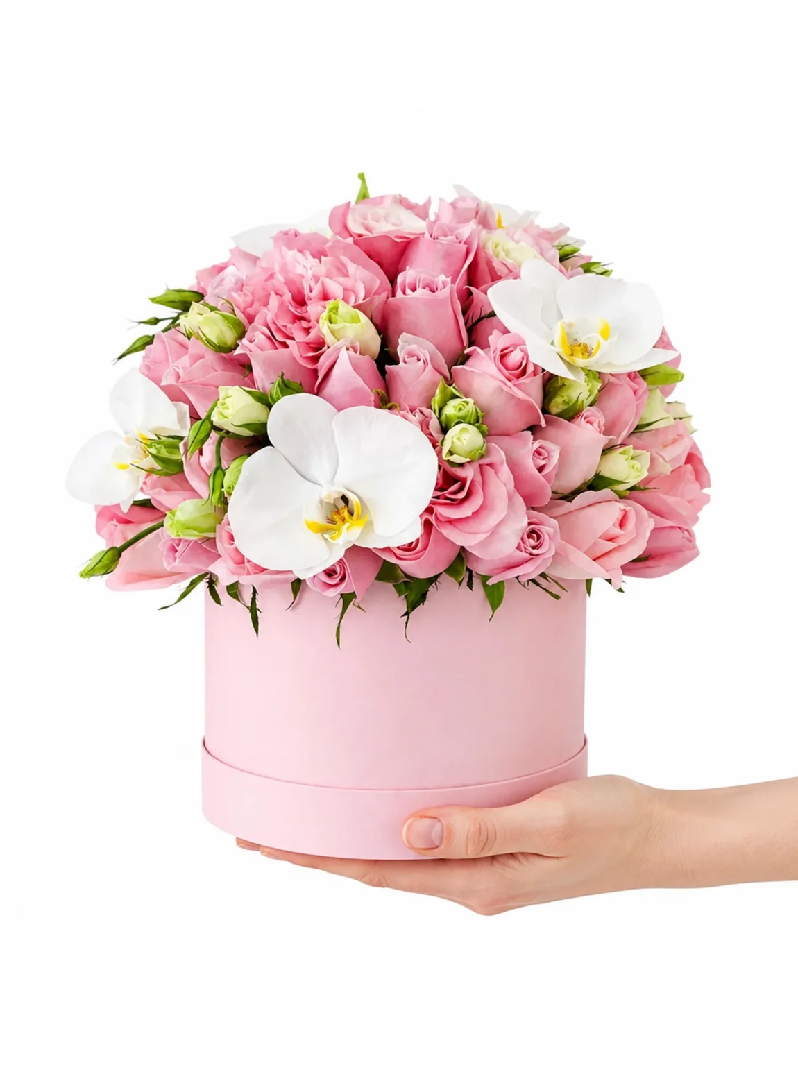 Pembe Gül Orkide