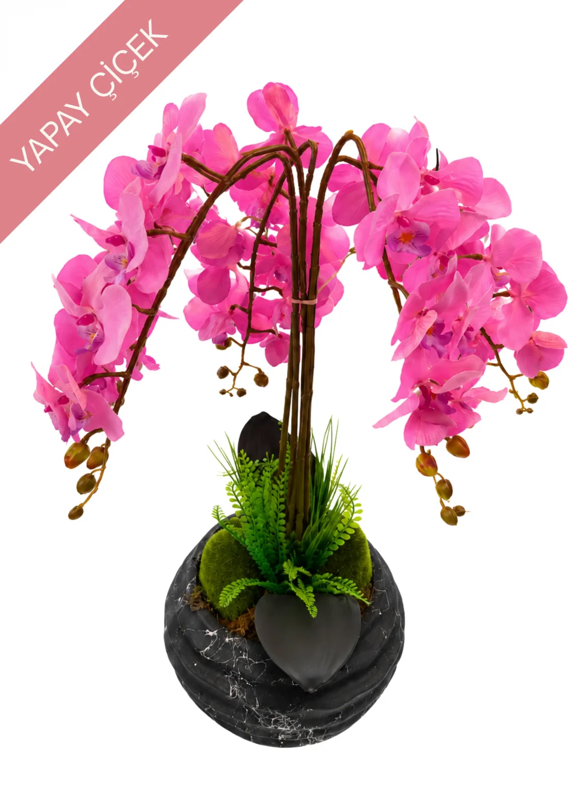 Sonsuz Pembe Orkide