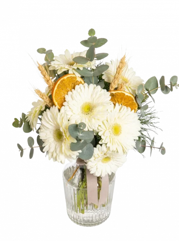 Masum Beyaz Gerbera Aranjmanı