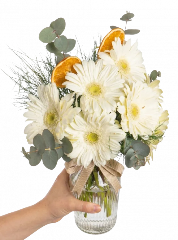 Masum Beyaz Gerbera Aranjmanı