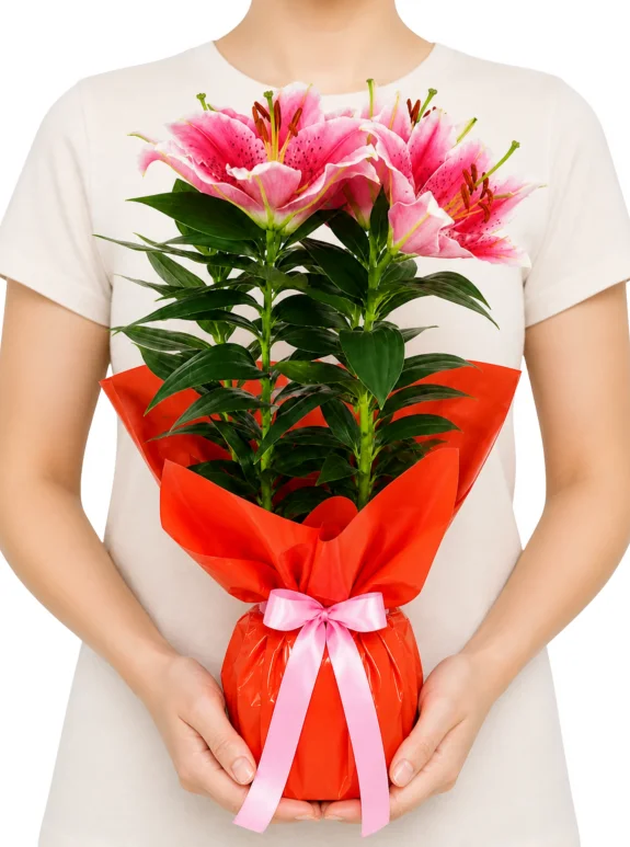Mercan Işıltılı Pembe Lilyum