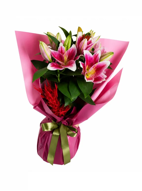 Pembe Lilyum Zarafeti