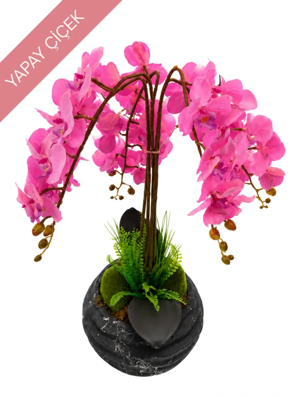 Sonsuz Pembe Orkide