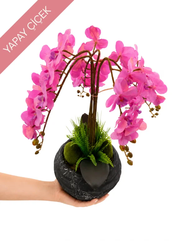 Sonsuz Pembe Orkide